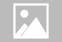 吃瓜网蔡金发黄,蔡金发黄生成背后的故事